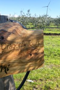 dragonfly-tours-giardino3