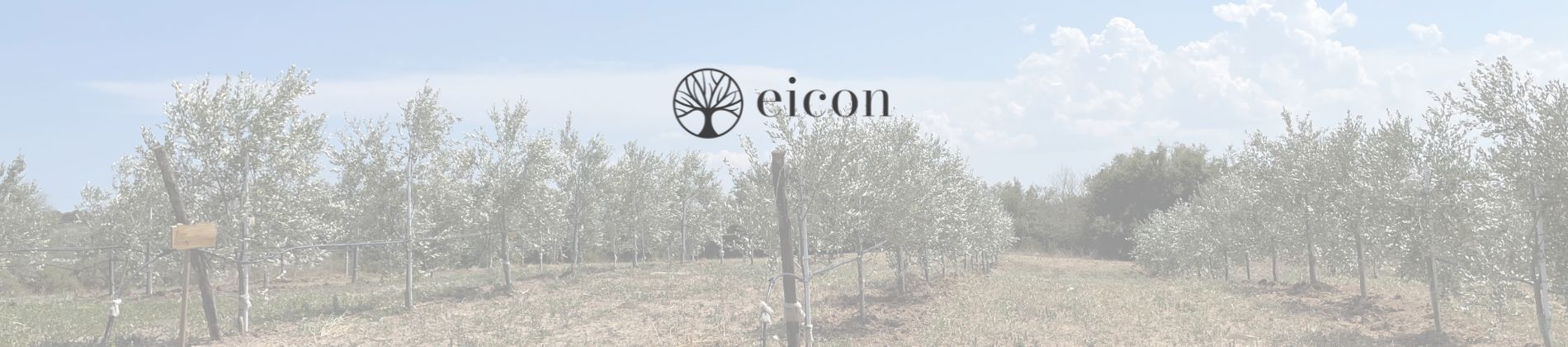 eicon-copertina-pagina-