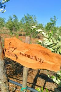 essential-italy-3