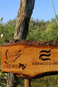 eurocedibe-2-1