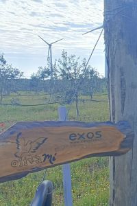 exos-2