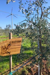 extratel-giardino-aziendale-01