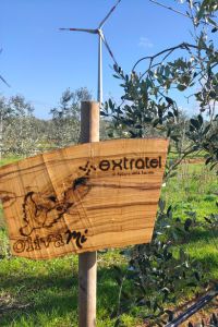 extratel-giardino-aziendale-03