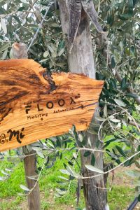 floox-01