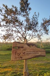 fondazione-ronald-1