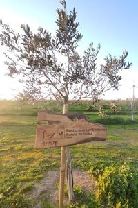 fondazione-ronald-2