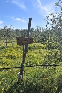 giardino-aziendale-Modula-3