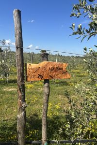 giardino-aziendale-allabox-1