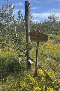 giardino-aziendale-elipse-3