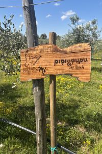 giardino-aziendale-pipi-pupu-1