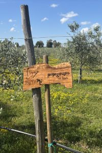 giardino-aziendale-pipi-pupu-2