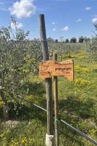 giardino-aziendale-pipi-pupu-3