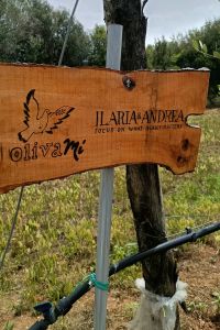 ilaria-e-andrea-srl-1