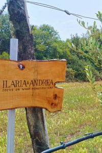 ilaria-e-andrea-srl-2-1