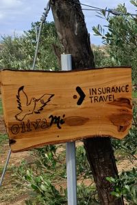 insurance-travel-2
