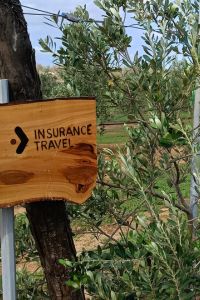insurance-travel-4