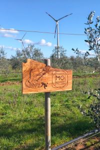 mo-tra-mozzarelle-e-olive-giardino-aziendale-02