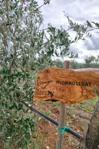 monholiday-galleria-2