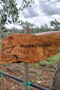 monholiday-galleria-3