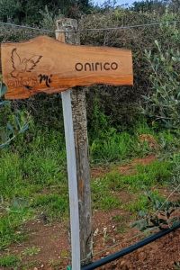 onirico-02