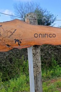 onirico-03