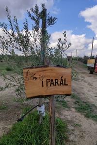 paral-1