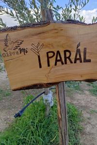 paral-2
