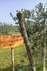 pianetaitalia.com-1