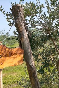 pianetaitalia.com-2