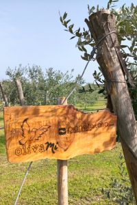 pianetaitalia.com-3