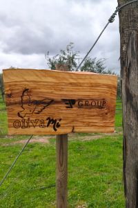 presezzi-group-giardino-aziendale-01