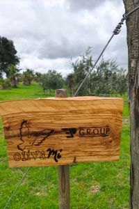 presezzi-group-giardino-aziendale-03