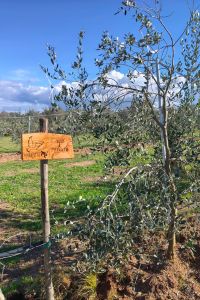 privato-vegan-eco-1