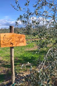 privato-vegan-eco-2