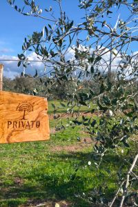 privato-vegan-eco-3