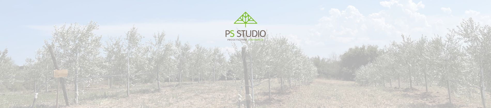 ps-studio-copertina