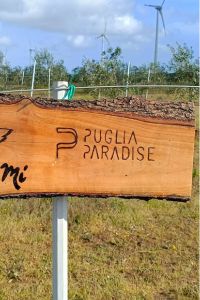puglia-paradise-03