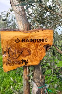 raintonic-giardino-aziendale-02