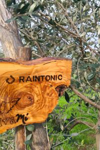 raintonic-giardino-aziendale-03