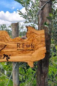 reon-3