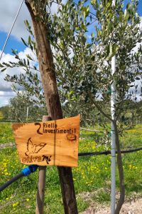 riello-investimenti-giardino-2