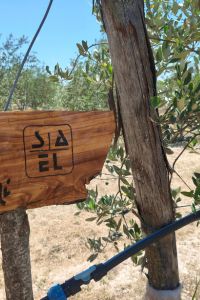 sael giardino aziendale 3