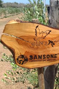 sansone-2