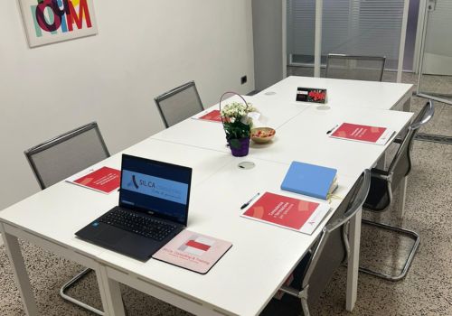 silca-consulting-3