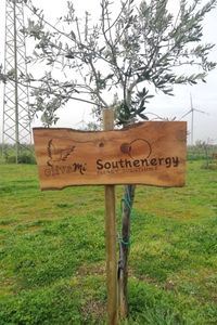 south1-1