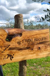 studio-ruggeri-3