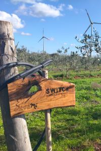 switch-giardino-aziendale-01