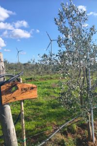 switch-giardino-aziendale-03