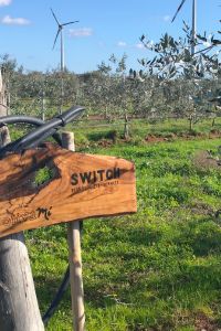 switch-giardino-aziendale-04