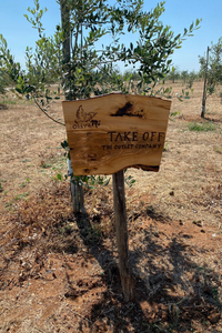 take-off-2